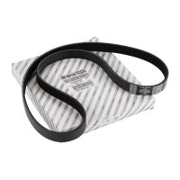 Cinghia scanalata a V 6K1160