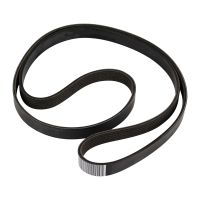 Cinghia Poly-V 6K1725 OE 55201363