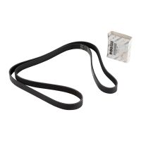 Cinghia con nervatura a V 6K1855