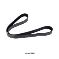 Cintura a V 7PK1145-48