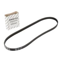 Cintura elastica 4K903