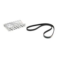 CINTURA ELASTICIZZATA 4KS1102