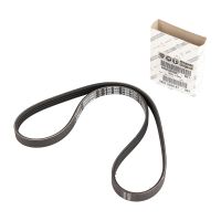 CINGHIA ELASTICA 4K903 OE 5802039987
