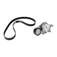 Set di cinghie a V PSA OE