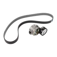 Set di cinghie a V PSA OE 1611505480