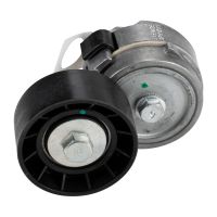 Puleggia di tensione a cinghia piana con braccio di tensione