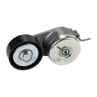 Tendicinghia piatta con braccio di tensione Dayco