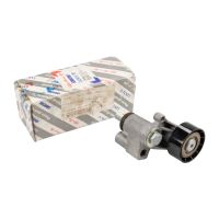 Puleggia a cinghia piatta con braccio tenditore