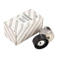 Puleggia a cinghia piana Tensionatore