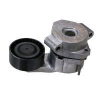 Puleggia di tensione a cinghia piana con braccio di tensione