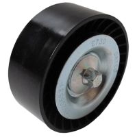 Puleggia a nastro piatto Dayco