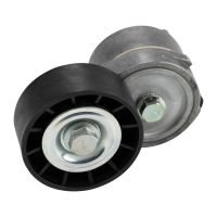 Puleggia di tensione a cinghia piana con braccio di tensione