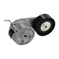 Puleggia di tensione a cinghia piana con braccio di tensione