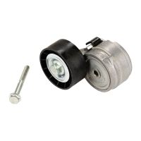 Puleggia tendicinghia piana con braccio tenditore DAYCO