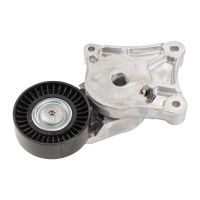 Puleggia per cinghia piatta con braccio tenditore