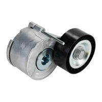 Puleggia di tensione cinghia con nervature a V