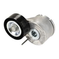 Puleggia di tensione cinghia con nervature a V