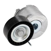 Puleggia tenditrice Cinghia scanalata a V NTN-SNR