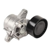 Puleggia tenditrice, cinghia trapezoidale scanalata