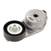 Puleggia tenditrice per cinghia piatta