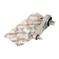 Braccio di torsione posteriore del motore