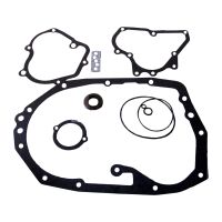 Set guarnizioni cambio con Wedi