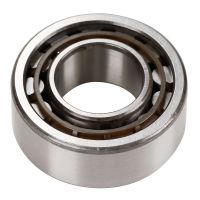 Cuscinetto del cambio Albero principale anteriore