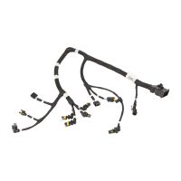 Cablaggio per il modulo Selespeed