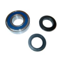 Cuscinetti ruota posteriore