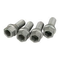 Bullone ruota per cerchio in acciaio PPE originale