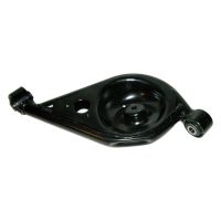 Braccio oscillante posteriore sinistro con piastra a molla