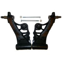 Set forcellone posteriore destro e sinistro