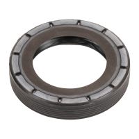 Paraolio 40 x 58 x 11,3