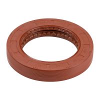 Ingresso asse posteriore Wedi