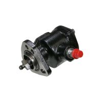 Riparazione pompa del vuoto a perno lungo PIERBURG