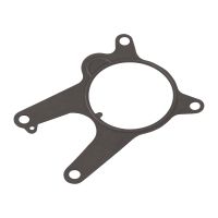 Dichtung für die Vakuumpumpe