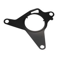 Guarnizione per pompa per vuoto