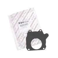 Guarnizione per pompa per vuoto