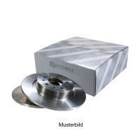 Disco freno posteriore 251 mm Ø