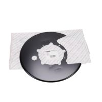 Piastra dell'armatura