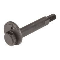 Vite eccentrica Forcella inferiore anteriore