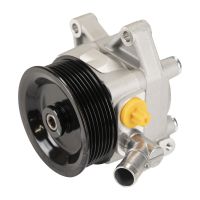 Pompa del servosterzo con volante