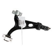 V-link anterior sinistro in basso a sinistra