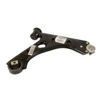 Forcella anterior sinistra OE