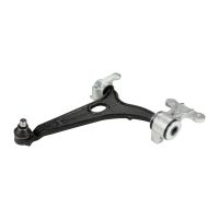 forcella anteriore sinistra