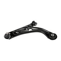 Forcella anteriore sinistra