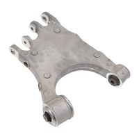 Braccio oscillante posteriore sinistro