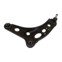 Forcella anteriore sinistra