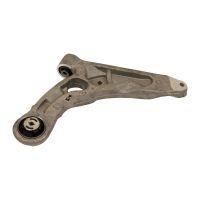 Un quadrilatero anteriore sinistro