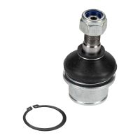 Testa del braccio di supporto Snodo di supporto inferiore del giunto di supporto